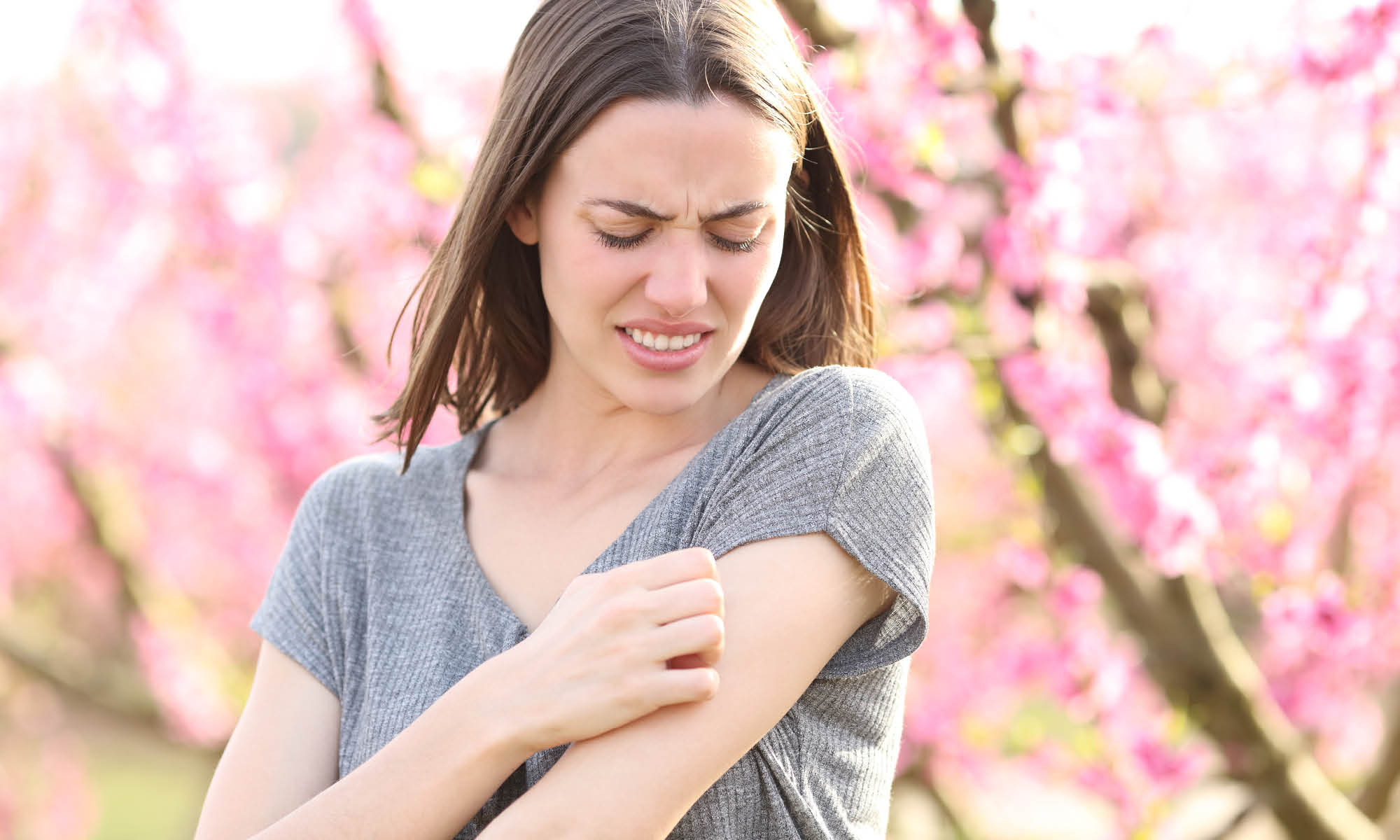 Wie schütze ich mich im Garten vor Mücken? Effektive Methoden und Tipps für einen mückenfreien Garten